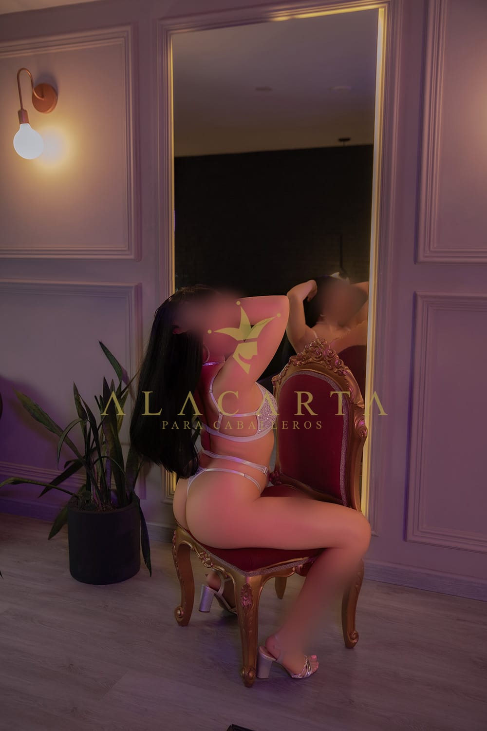 escort sexi en Provenza